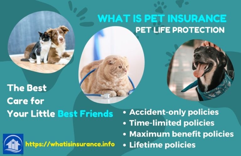 What is Pet Insurance